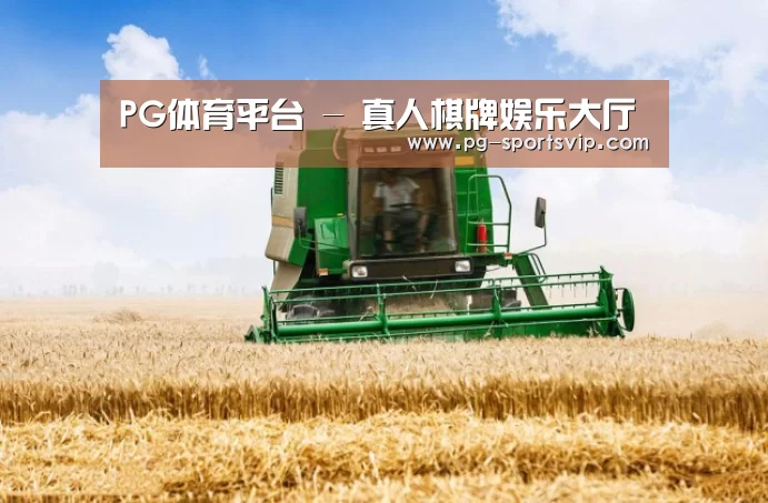 产品名称六