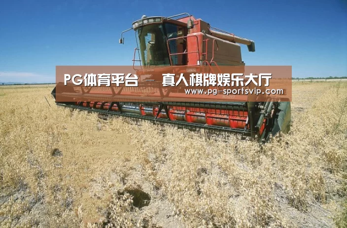 产品名称三