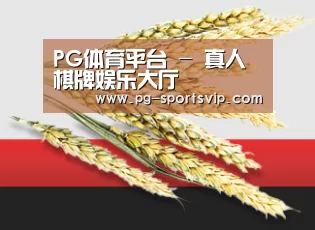 PG体育平台 - 真人棋牌娱乐大厅