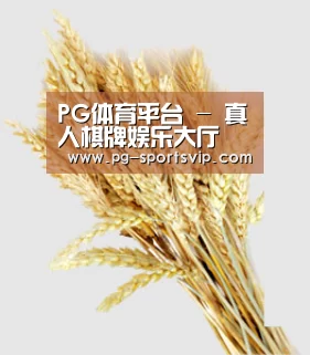 PG体育平台 - 真人棋牌娱乐大厅