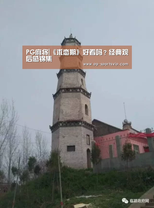 PG麻将|《求恋期》好看吗?经典观后感锦集(图1) PG电子