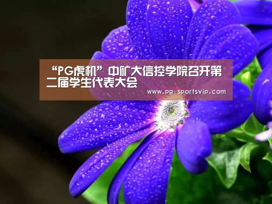 “PG虎机”中矿大信控学院召开第二届学生代表大会(图2) PG麻将